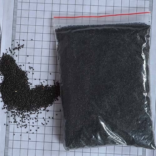 Basil seeds supplier in Ahmedabad Sabja seeds wholesaler Tukmaria